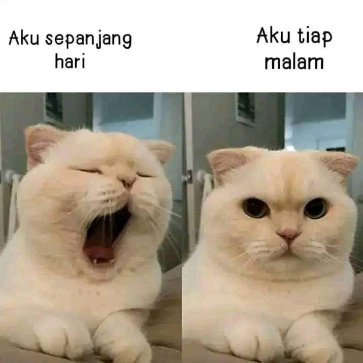 iSolCryptoo's tweet photo. Valid? https://t.co/jtAZUUBGQx