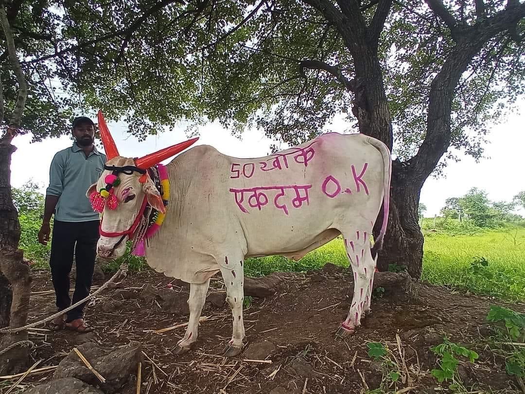 ShrimantManey's tweet photo. विरोधी आमदारांनी विधानभवनाच्या पायऱ्यांवर घोषणा दिल्या तर सत्ताधारी आमदारांनी राडा केला, आता यांचे काय करणार? 😂 https://t.co/aErJSIOGAi