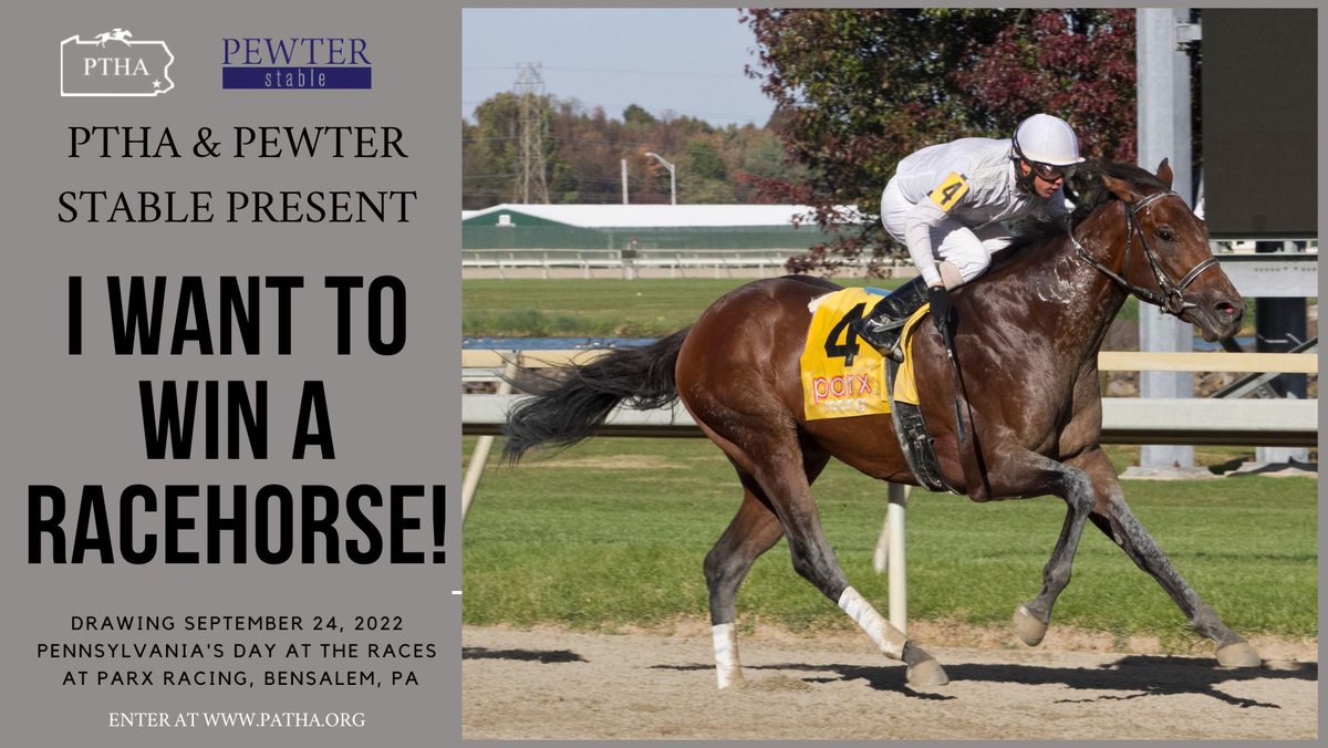 PTHA17's tweet photo. Do you want to win a racehorse? Check out our website at https://t.co/3KXDMo0LHc for more info on this exciting contest with the PTHA &amp; @ThePewterStable #PTHA #ParxRacing #PewterStable #Iwanttowinaracehorse https://t.co/PfQgMlLZMq
