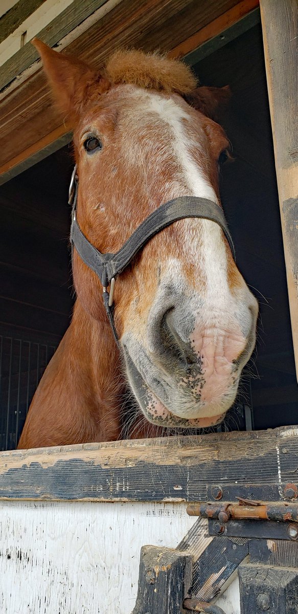 Why the long face, Zack?