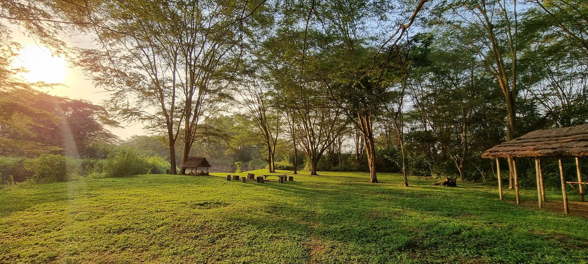 Campsite at Bullbush... Comes with ambience...
#peterhogel #bullbushrivercamp #safari #photography #Uganda #photographysafari #ishasha #VisitUganda #ugandauncovered #wildlifeaccommodation #river#riverlife #poolsideoflife #campsites