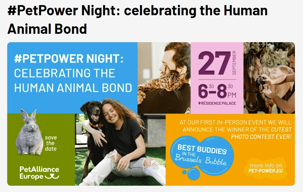 VictimSupportEU's tweet photo. 🐾Glad to announce on #InternationalDogDay that the #FYDO project will be represented at #PetPower Night, hosted by @PetPowerEU

📸Share your cutest pet picture &amp; join their photo contest. Winners are granted a €500 donation to their favourite animal charity!

More information👇 https://t.co/tN0x49V9aN
