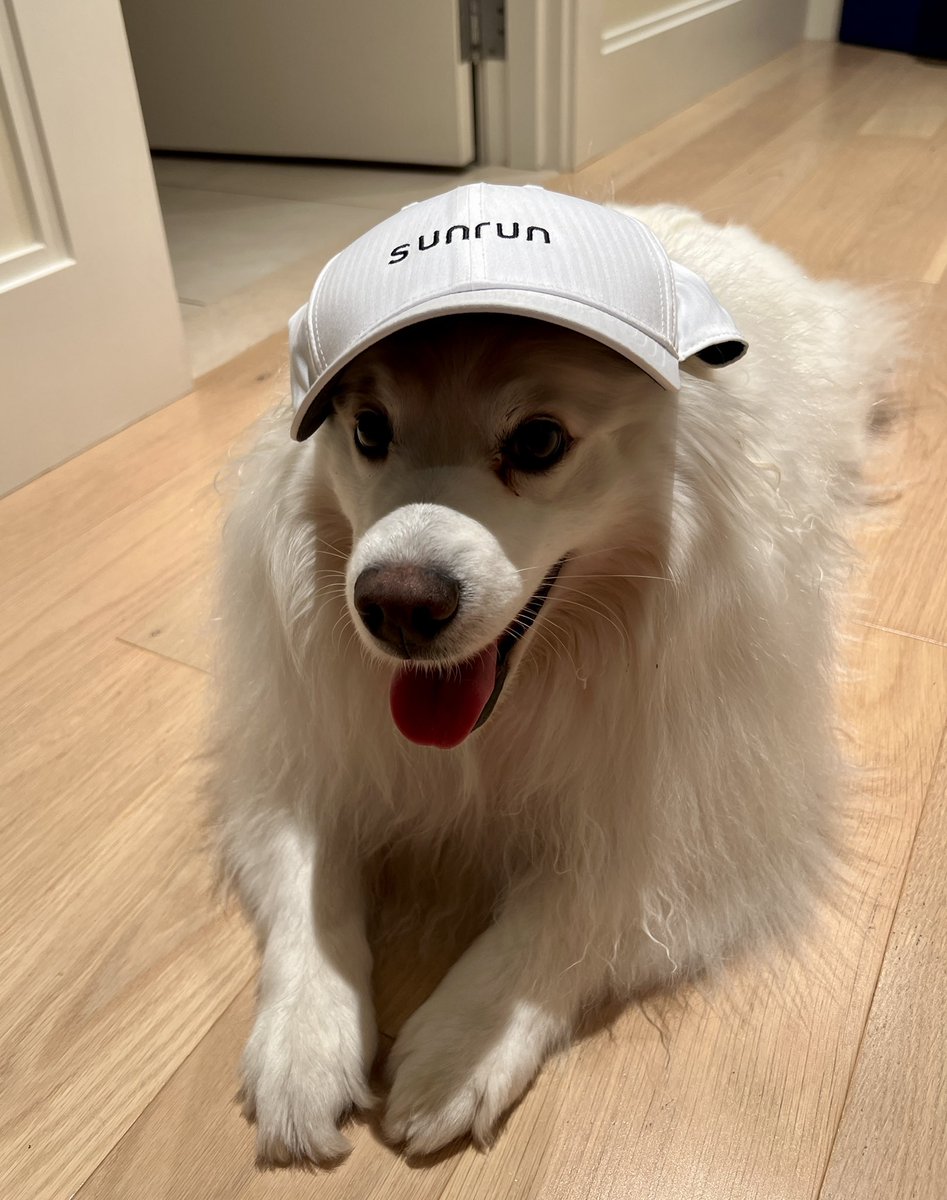 SandyAnuras's tweet photo. @Sunrun Hi @Sunrun ! Here’s DanDan from Seattle. https://t.co/7ANw5XW6Vn