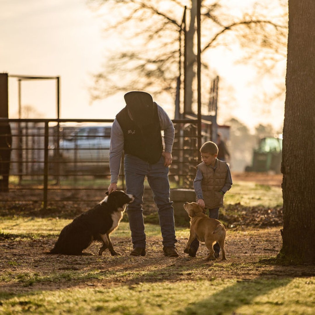 They say a dog is a man's best friend but we know they're more than that, they're family. Owning your own land also means giving your furry companion the space they deserve to run and be free. Here's to all the four-legged family members, happy National Dog Day. 🐕