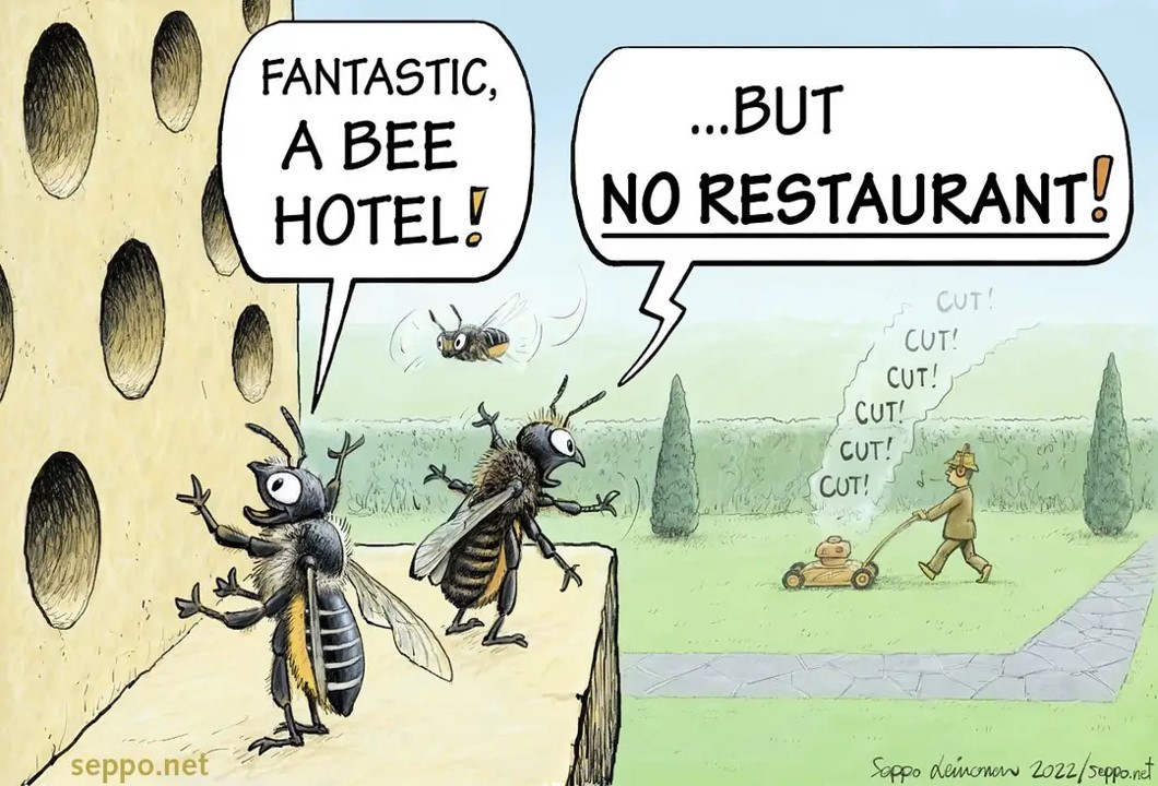 bee friends with nature Hotel de Abejas de Insectos con Semillas 4 en 1 Azul 