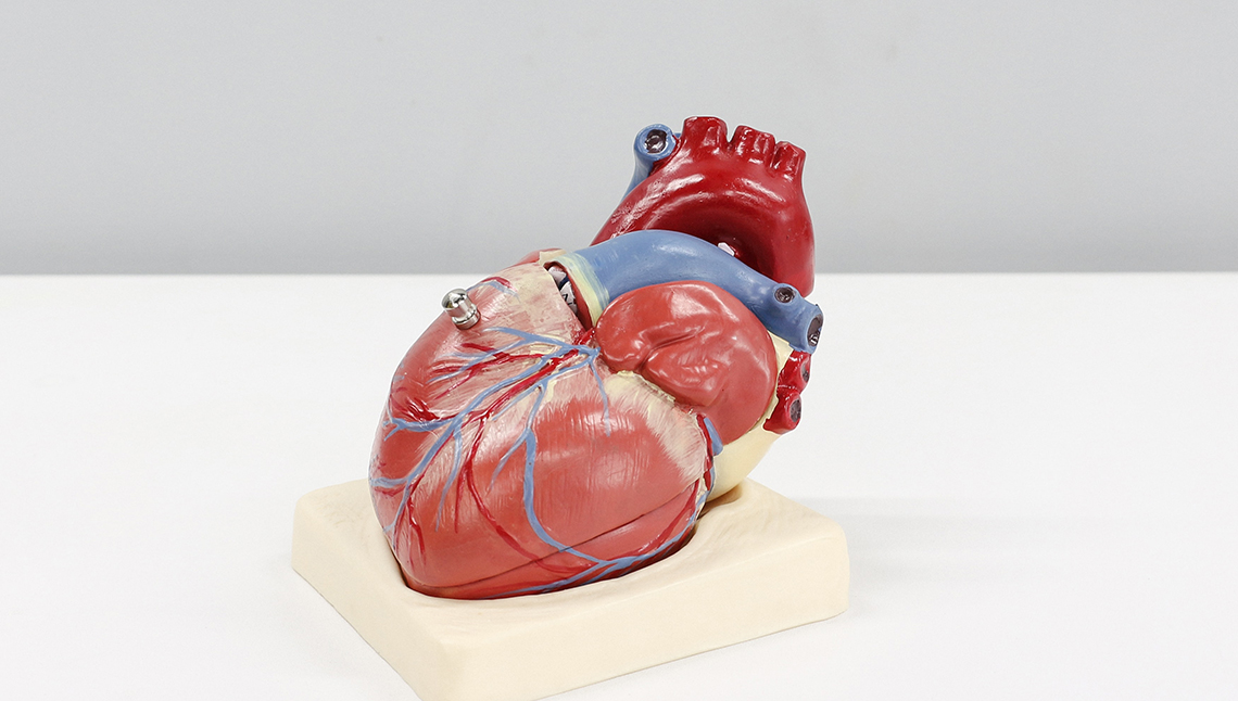PoliTOnews's tweet photo. Una ricerca del #PoliTo per prevenire le insufficienze cardiache: l’Ateneo ha collaborato con il @CCMonzino e altri 7 partner a uno studio sulle modalità di sviluppo delle fibrosi cardiache, pubblicato sulla rivista @CircRes
➡️https://t.co/e3IgdbbWfG
#PoliFlash #DET #DIMEAS https://t.co/VrtI16IdAI