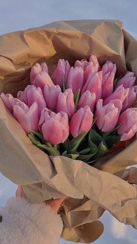 aestheticspost_'s tweet photo. pink tulips https://t.co/LTamLPiHRb