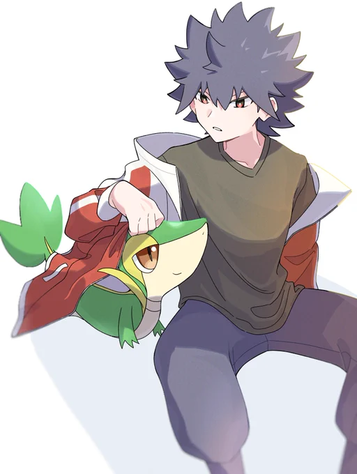 ヒュウとツタージャ 