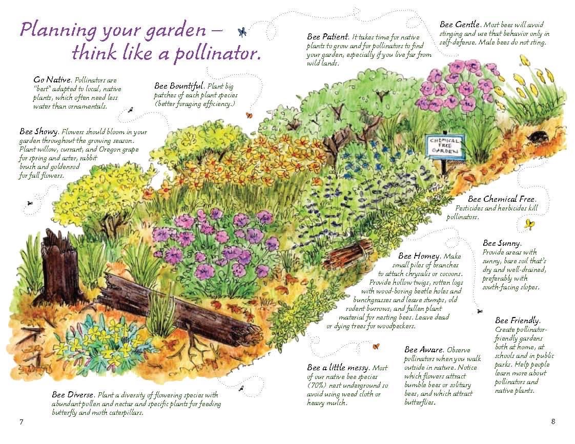 dashk2004's tweet photo. #pollination #beewise #beepatient https://t.co/Ut5WsCoNFU