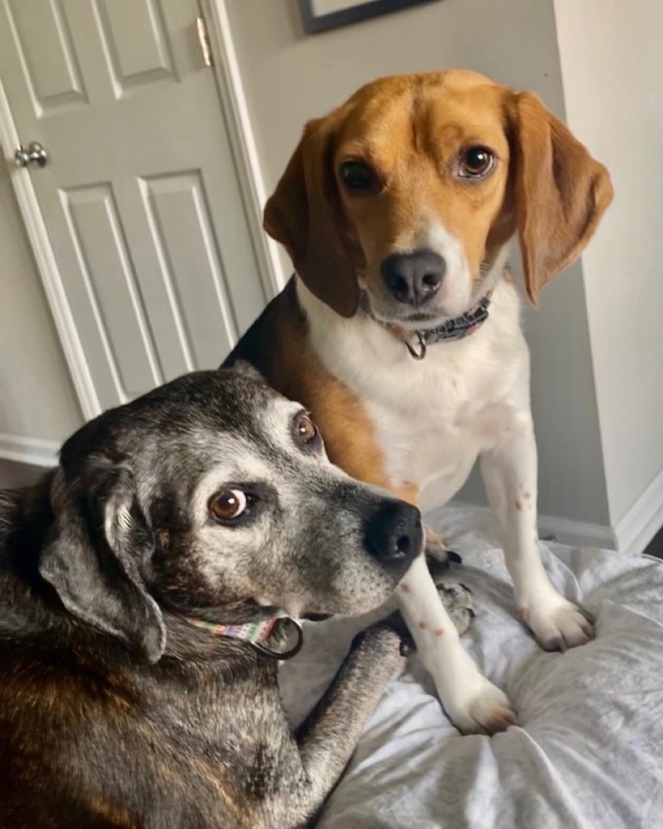 Marca Jones tweet media