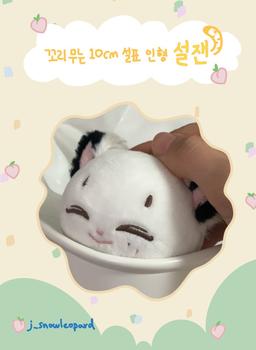설잰 tweet media