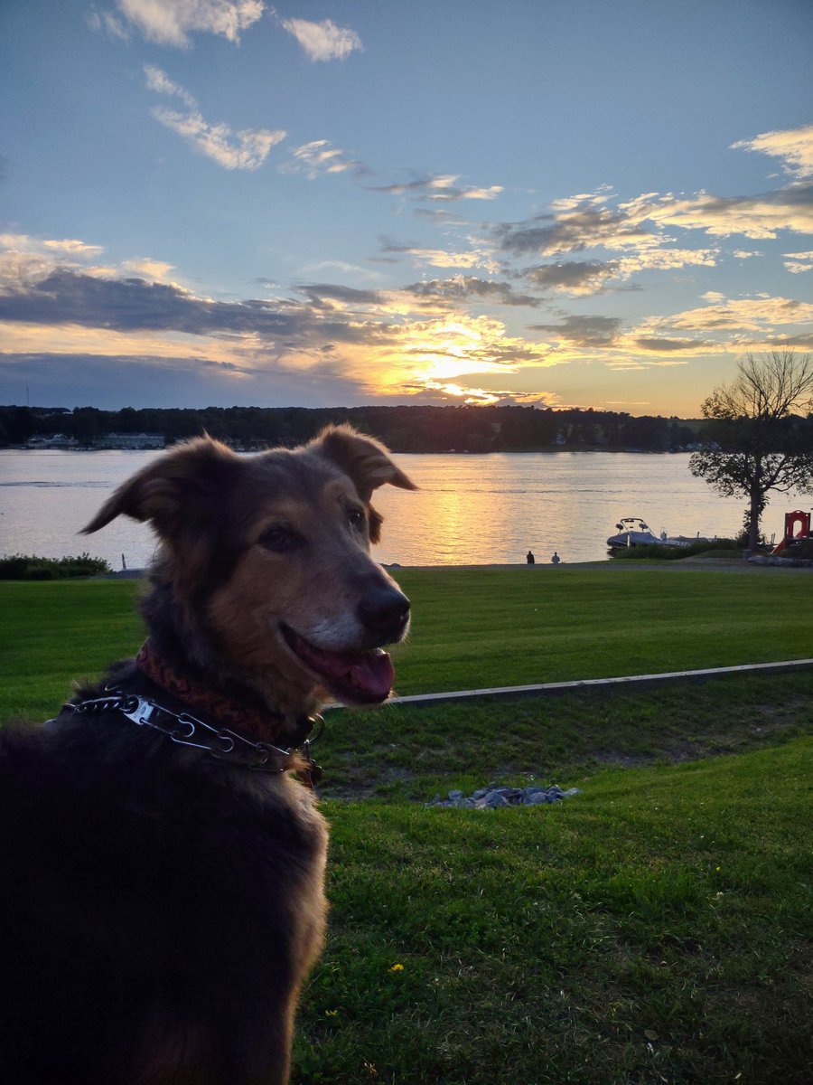 C.S. Campanaro tweet media