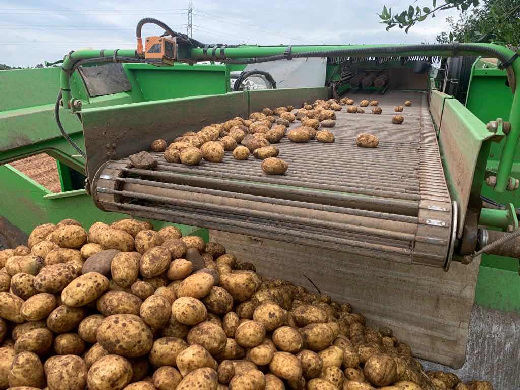 LHAgro's tweet photo. Following the install on an AVG potato harvester of this Topcon Yieldtrak YM2 conveyer weighing kit earlier this year, we visited for a field setup last week at the start of potato lifting.
#potato #harvest2022 #lhagro #topcon #yieldtrak https://t.co/jEIPlKJdlW