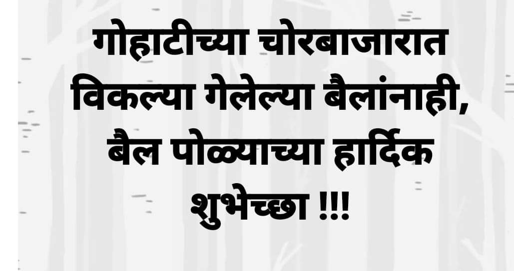 HareshNJ's tweet photo. @ShivSena 
@BJP4India 
@mieknathshinde 
@uddhavthackeray 
@SanjayShirsat77 
@BharatGogawale 
@PratapSarnaik 
#BJPFailsIndia 
#Bailpola2022 https://t.co/pZ8BdXK2ix