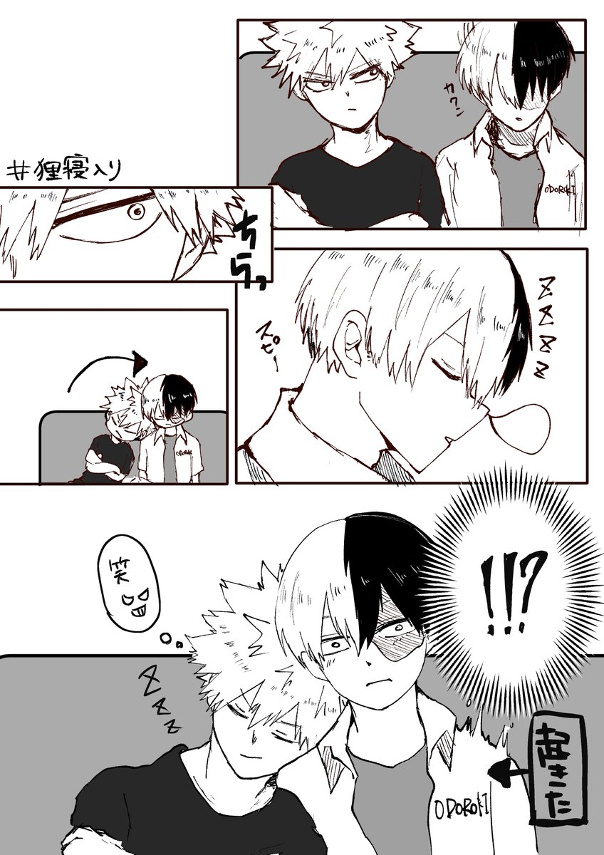 久しぶりのワンドロ〜!!

お題   狸寝入り
#轟爆版深夜のワンドロ一本勝負 