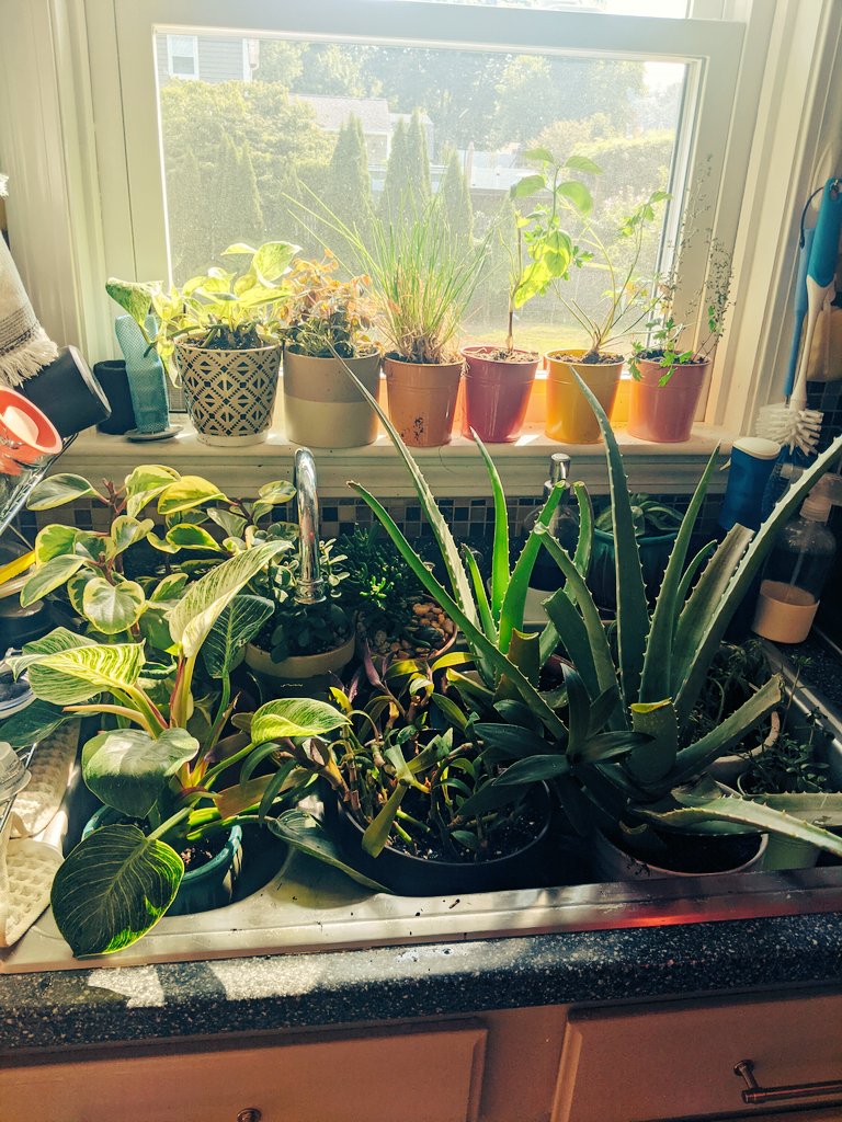 Jess Markey tweet media