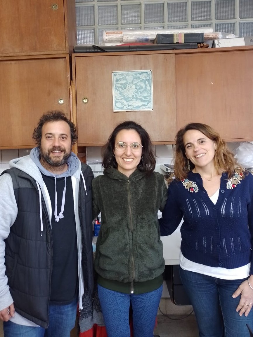 Aves Marinas y Costeras - MdP tweet media