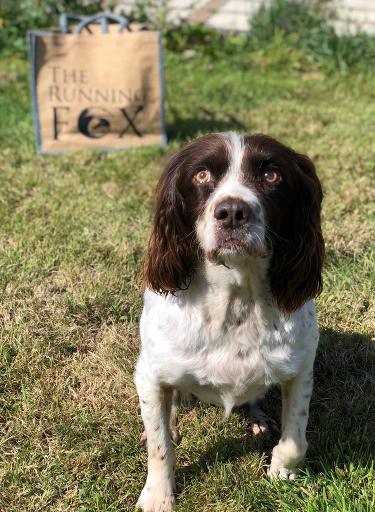 Happy #internationaldogday woof woof 🐶

Did you know that our Longhoughton, Shilbottle and Longframlington coffee shops are all dog friendly? 🐾

There’s always plenty of water bowls, dog treats and doggy ice cream available to keep those tails wagging.