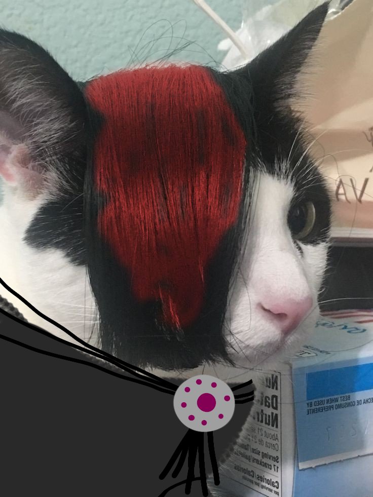 Sp_As_Cats's tweet photo. Pete #SouthPark #sptwt #sppete https://t.co/UB5GysgPDf