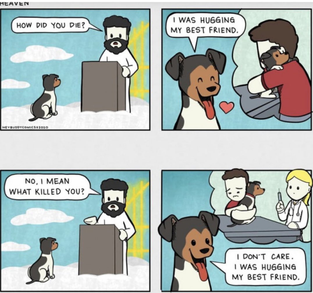 ponkeyboy's tweet photo. @rickygervais this sums up dogs for me  .. if heaven exists of course https://t.co/keqf0S3X5w