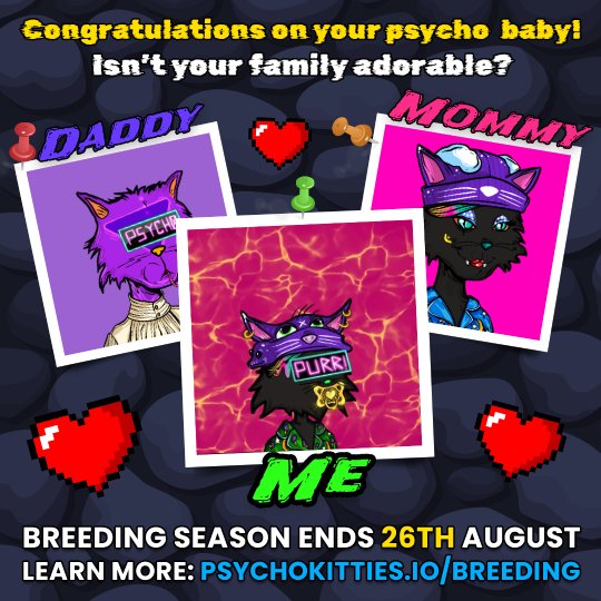 ch33_nft's tweet photo. My @psychokittiesOG and PsychoMolly did it like they do on the Discovery Channel and got freaky in my wallet 😏 Now I have a PSYCHO BABY 😺 #PsychoKittyBaby https://t.co/73jcHQ8tYJ