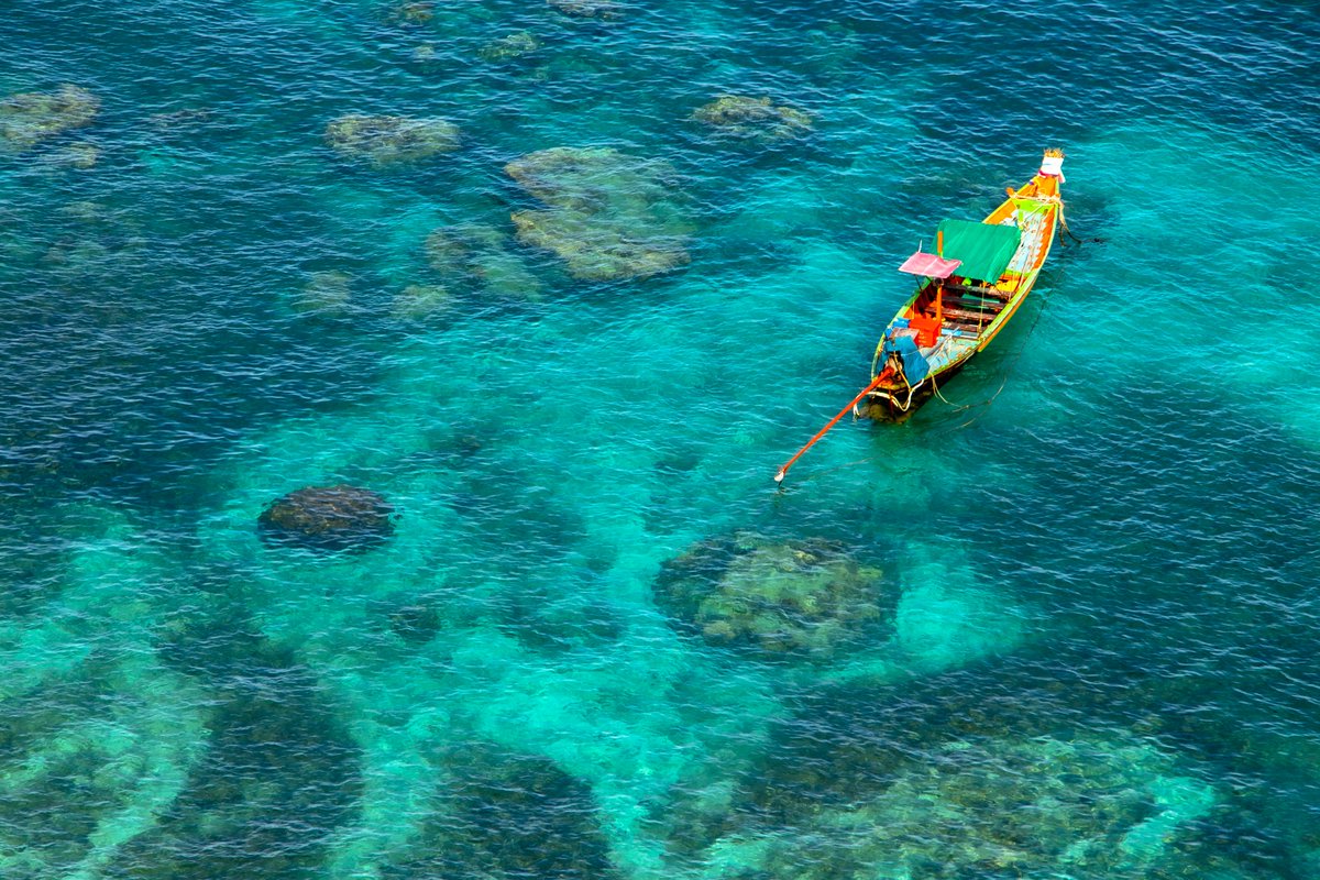 Dec Fisher tweet media