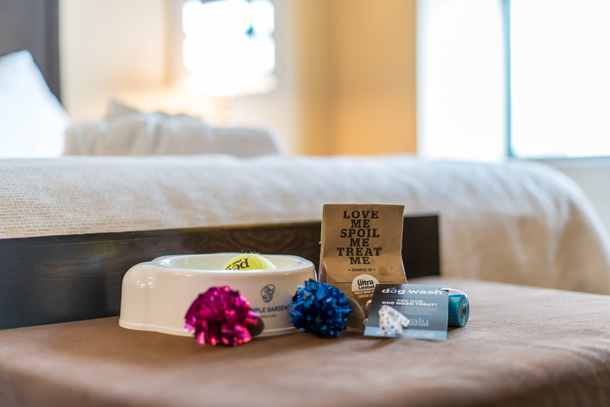 It’s National Dog Day! We love welcoming your furry companions. Treat your pup to an extra-special vacation - Pamper Your Pet, with toys and treats to make the experience pawsitively perfect. bit.ly/TGEnhancements #templegardens #moosejaw #petfriendly