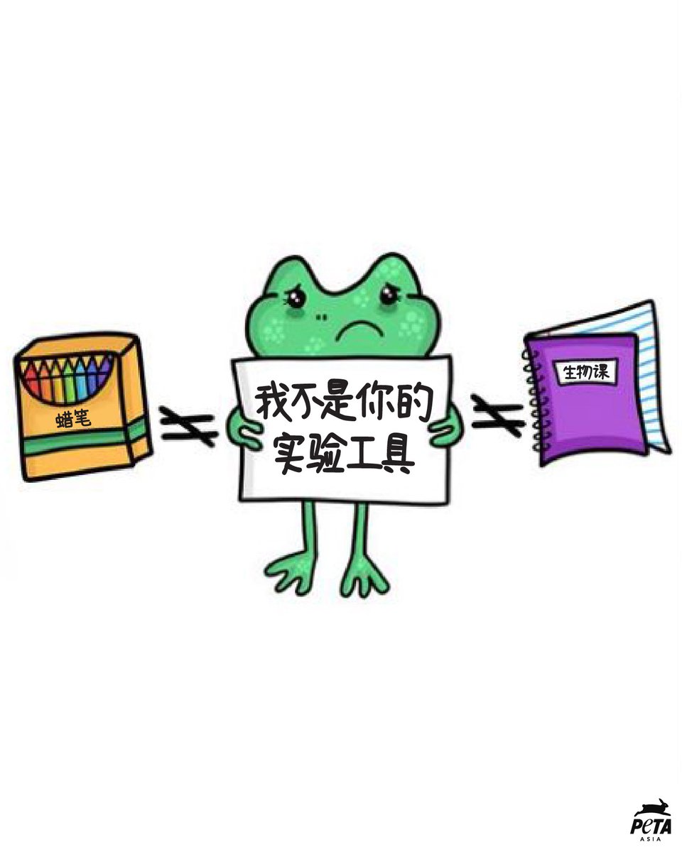 PETAAsiaZH's tweet photo. 如果你也认为动物活体解剖这种残忍的做法必须终止,请在留言区留下一个🐸!
动物不是我们的实验工具👊
#青蛙 #生物学 #实验 #活体解剖 #Frogs #Dissection #Biology #DissectionKills #CutOutDissection https://t.co/zm9U2Z91aF