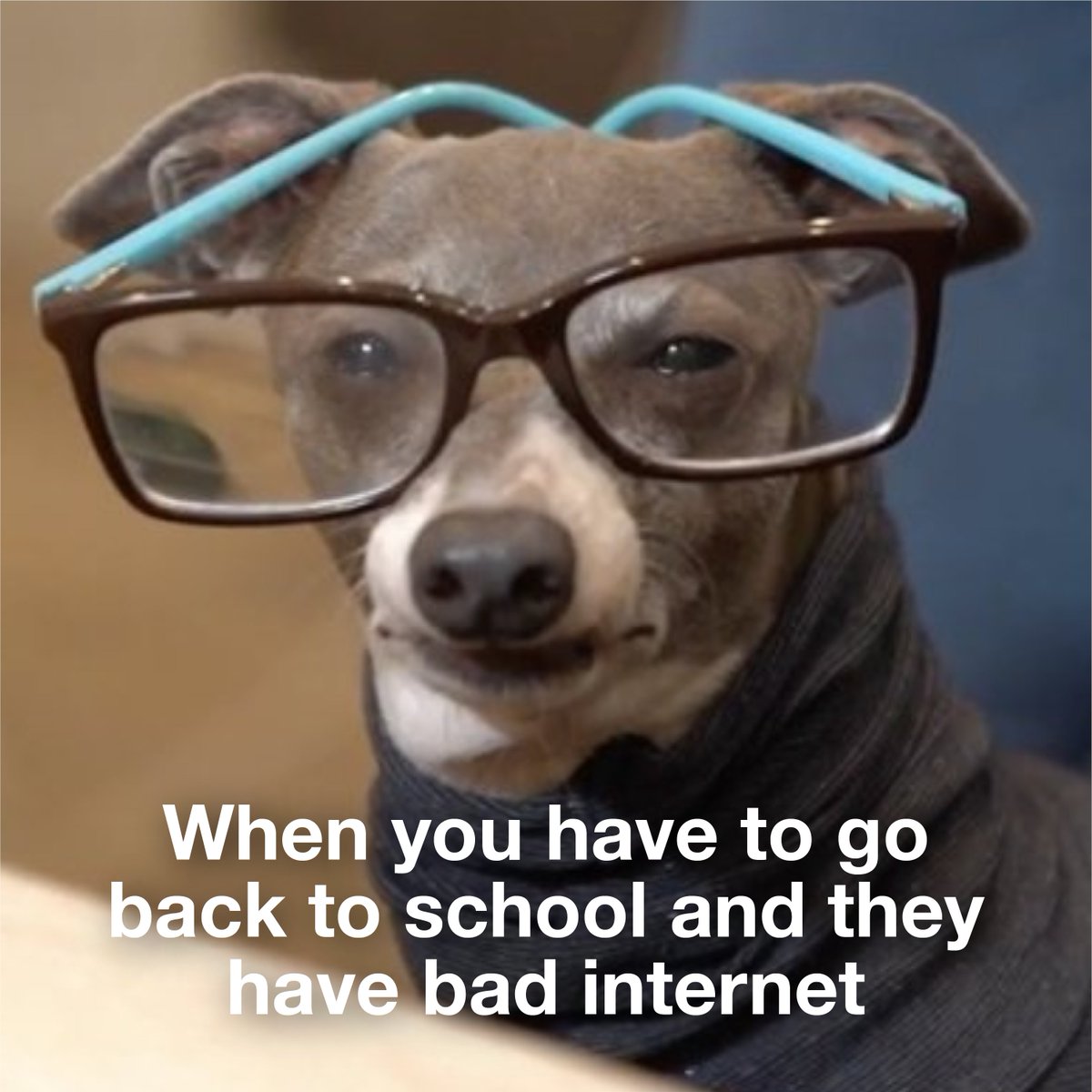 FidiumFiber's tweet photo. You may not be able to control the internet at school, but you can sign up for smarter speeds at home. Have the most successful school year yet with futuristic 2-Gig Fiber Internet from Fidium. Learn more: https://t.co/1TAbaKC2kD

#FinallyFidium https://t.co/no73SDveIC