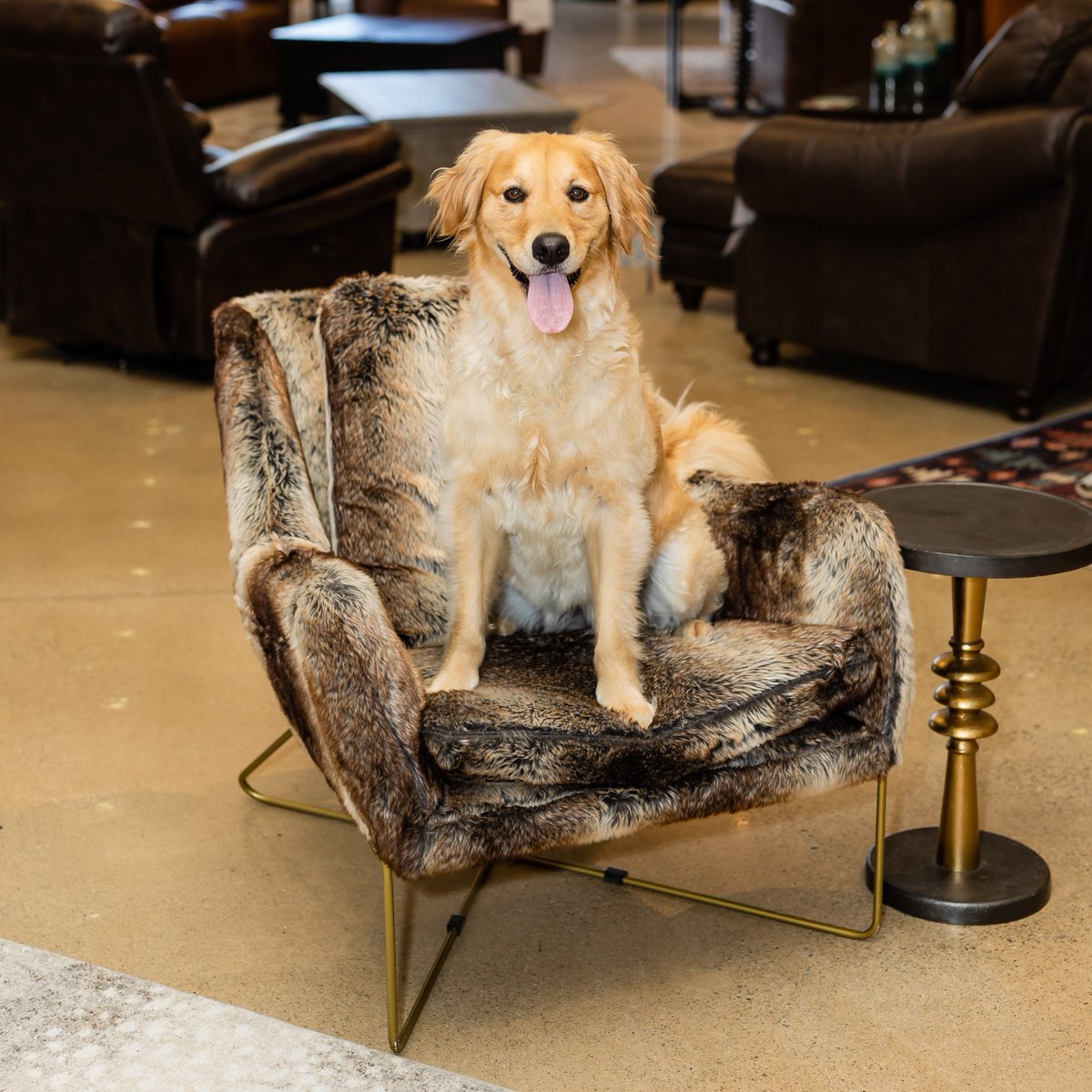 levin_furniture tweet picture