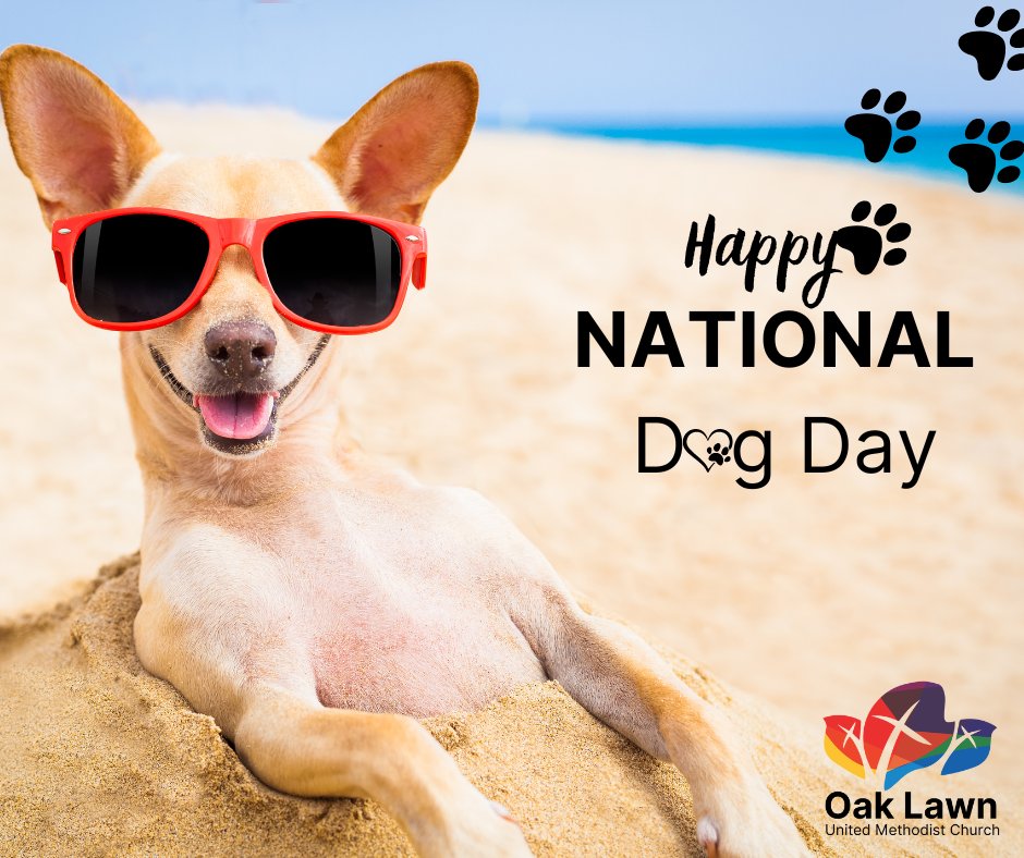 May we realize that as our pets
trust us to take care of them, so we should trust You to take care of us,
and in taking care of them we share in Your love for all Your creatures.
Grant this through Christ our Lord.