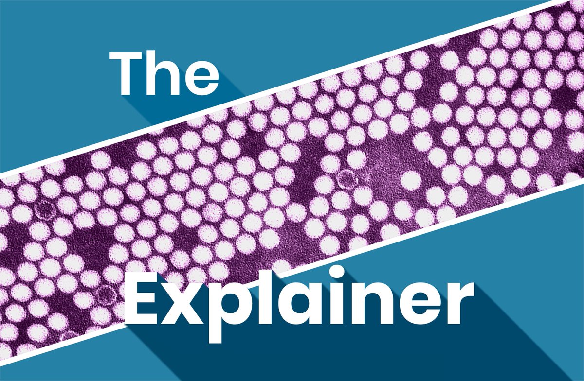 PODCAST: Should we alarmed about the fact polio has been found in sewage samples in three cities globally? An expert explains jrnl.ie/5850345t