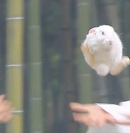 UngIng_1005's tweet photo. มึง 55555555555555555555555555555555555555555 น้องงงงง555555555555 https://t.co/OSKtKnaHyf