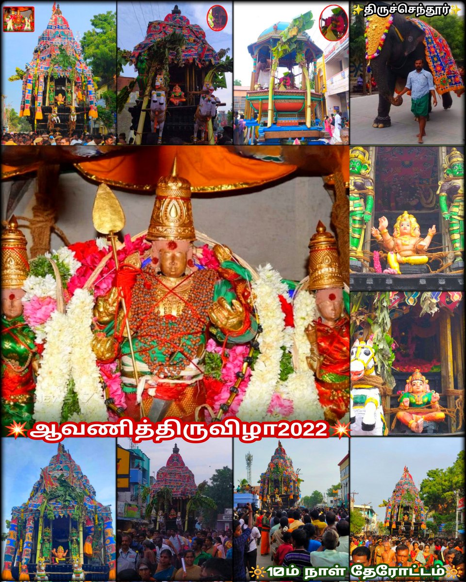 ChendurMuruga's tweet photo. திருச்செந்தூர் ஆவணித்திருவிழா2022

10ம்திருநாளான இன்று
சுவாமி ஸ்ரீ வள்ளி தேவசேனா 
சமேத குமரவிடங்கப்பெருமான்  
ஸ்ரீ வள்ளிஅம்பாள்
ஸ்ரீ விநாயகர் தனித் தேர்களில் எழுந்தருளி நான்கு ரதவீதிகளிலும் வலம் வந்து அருள்புரிந்த திருக்காட்சி

#முருகாசரணம் #festival
#TiruchendurAvaniFestival2022 https://t.co/H6oi2O4ORr