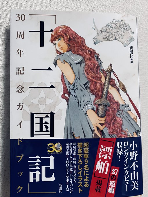 こんなの見ちゃったら小説を一から全て読み返すしかないじゃないか
巻数多いけど面白すぎて一気に読むからそんなに時間かからないのが十二国記 