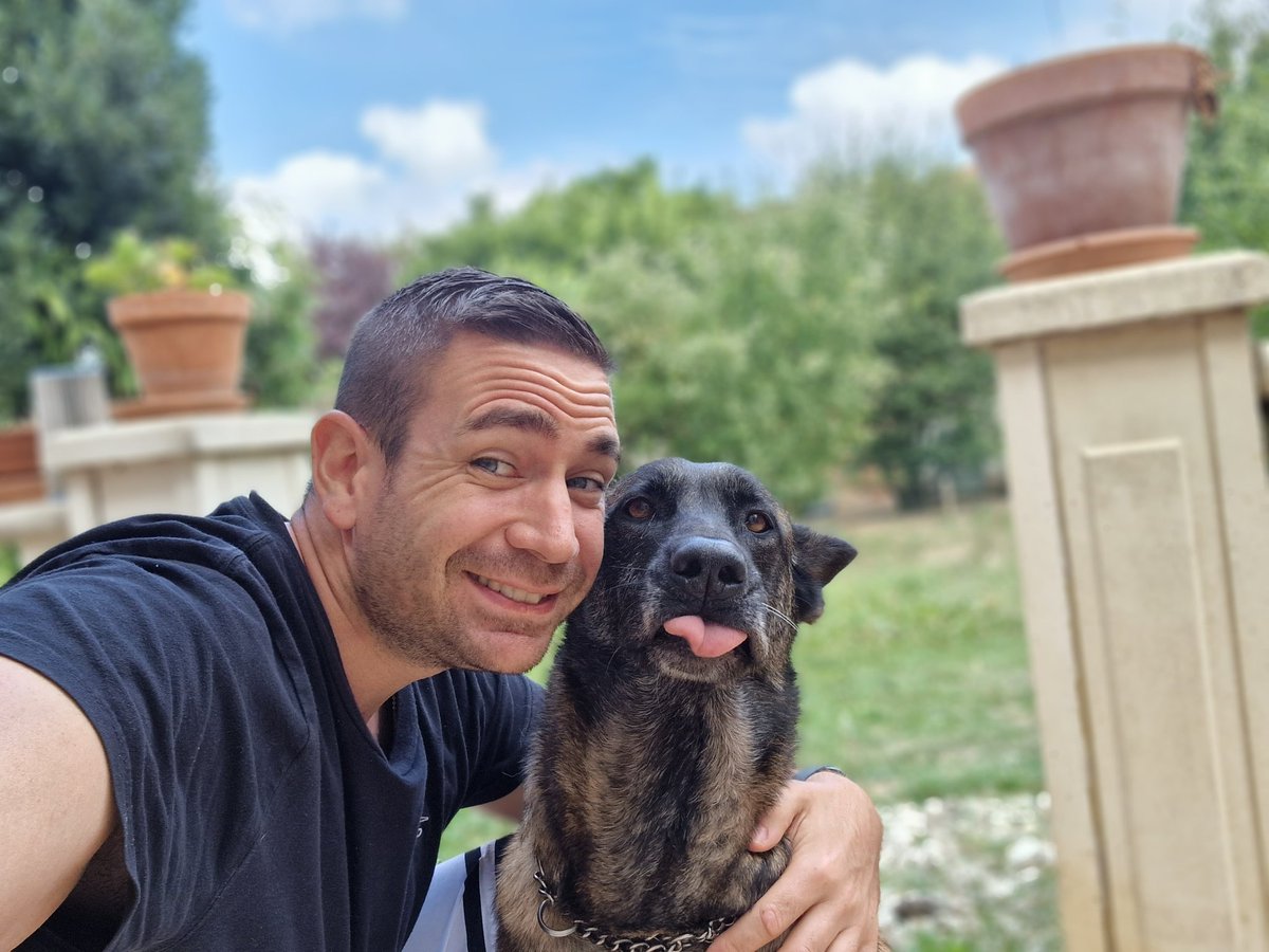 AugustinDumas91's tweet photo. [JOURNÉE MONDIALE DU CHIEN]

Sa journée !!!

#dog #dolover https://t.co/nYfwMh940t