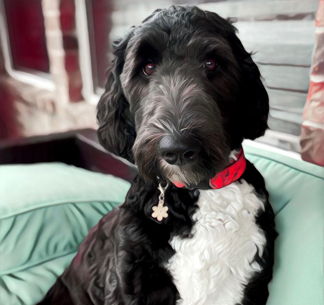 Steven Bennett tweet media