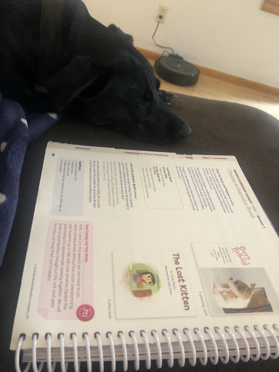 sowinski_emily's tweet photo. Puppy snugs and reviewing some writing lessons. Maybe the internet being down isnβt such a bad thing! #prairiepumas #teamfirstgrade https://t.co/flwHWgV0gm