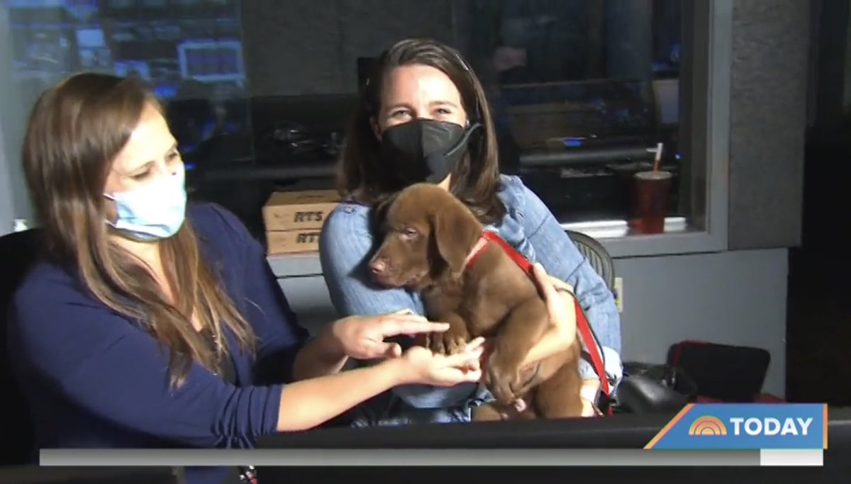 CateGropper's tweet image. A ruff morning in the @TODAYshow control room.