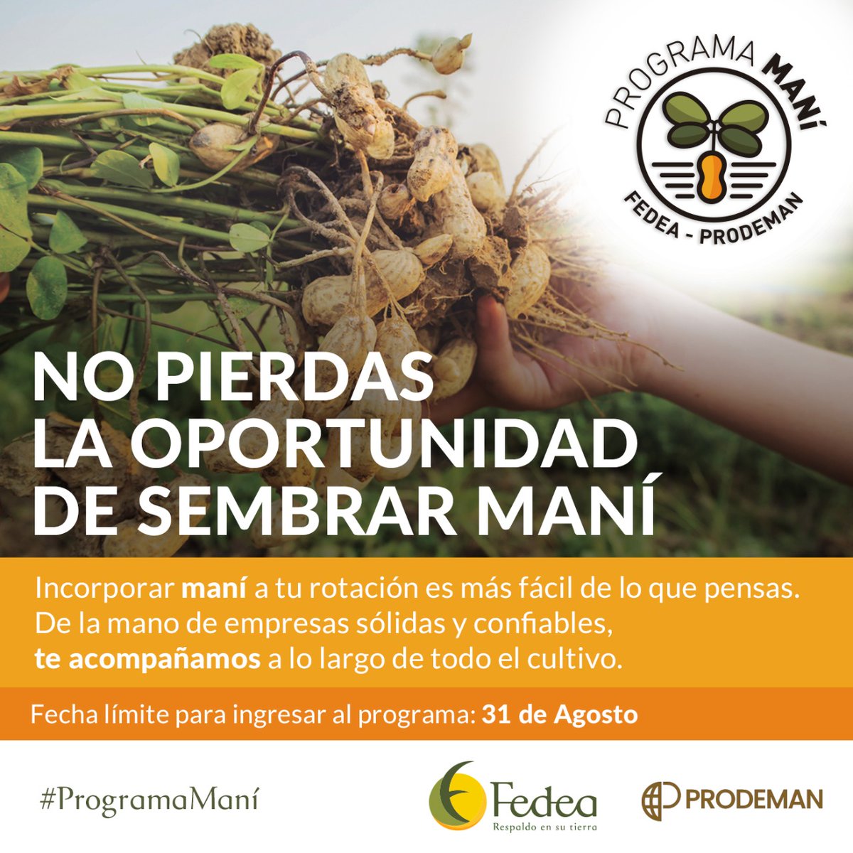 fedeaagro's tweet photo. Todavía estas a tiempor de SUMARTE! #ProgramaMani 🥜
Si estas en La Pampa 👉🏼 fecha límite 31/08‼️
Contactanos👉🏼 nuestro equipo te asesora!
@prodemanok @maniseros
#Mani #CultivoMani #lote #servicios #labores #asesoramiento #especializado #LaPampa #BuenosAires #Cordoba https://t.co/TGAqjD4xz0