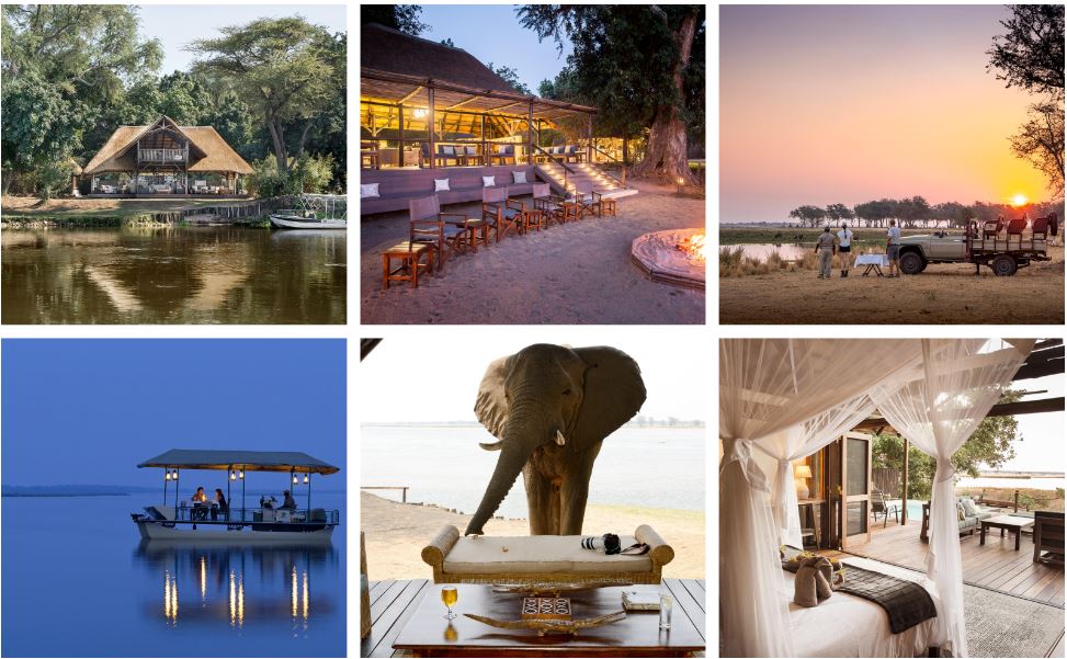 CardinalLeisure's tweet photo. Experience The Splendours of Africa that we call home with Cardinal DMC.
Zambia’s premier luxury safari camp with spectacular views over the Zambezi River and its resident wildlife.
Contact Us For Enquiries &amp; Reservations: https://t.co/dR88rfZMyw
credit: chiawa
#zambia https://t.co/CEiwjWcDQd