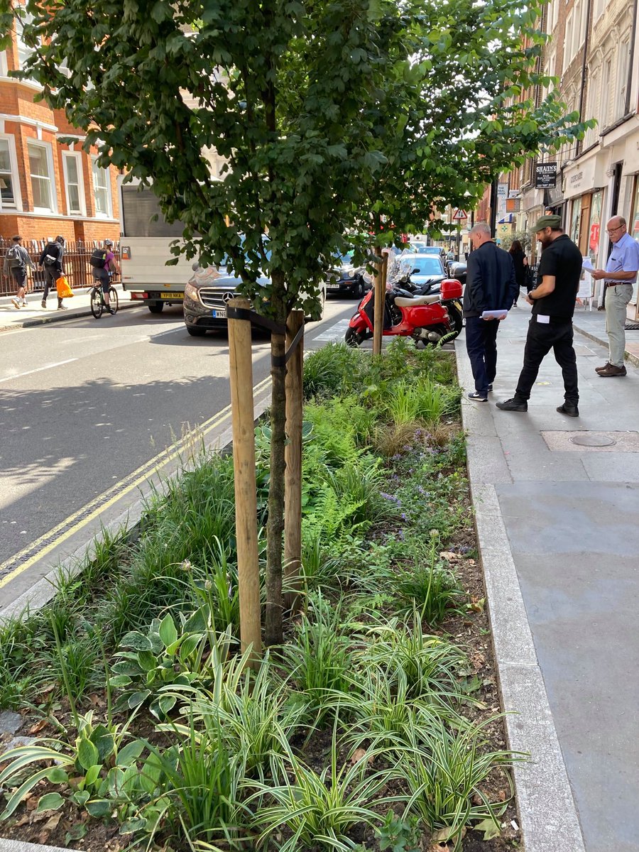 STfLLondon's tweet photo. We may've had almost a day of rain yesterday in the south-east 🌧️but we're still officially in #drought. So please keep watering our #streetrees as usual with watering cans and grey water. 🌳🛁🚿🙏
https://t.co/vEWTAByxAj https://t.co/DhsBQSr6FM