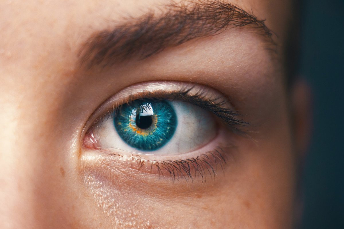 Inflammation and Ageing (@inflamage_uob) on Twitter photo 🎉Congrats to <a href="/Neuroscience_Dr/">A/Prof Lisa Hill</a> & team on their recent publication in #BiosensorsandBioelectronics 🙌
Their development of a new dye-based diagnostic tool shows promise to detect & characterise ocular inflammation sooner & provide improved treatment 👇
bit.ly/3dSoJ93 🎉Congrats to <a href="/Neuroscience_Dr/">A/Prof Lisa Hill</a> & team on their recent publication in #BiosensorsandBioelectronics 🙌
Their development of a new dye-based diagnostic tool shows promise to detect & characterise ocular inflammation sooner & provide improved treatment 👇
bit.ly/3dSoJ93