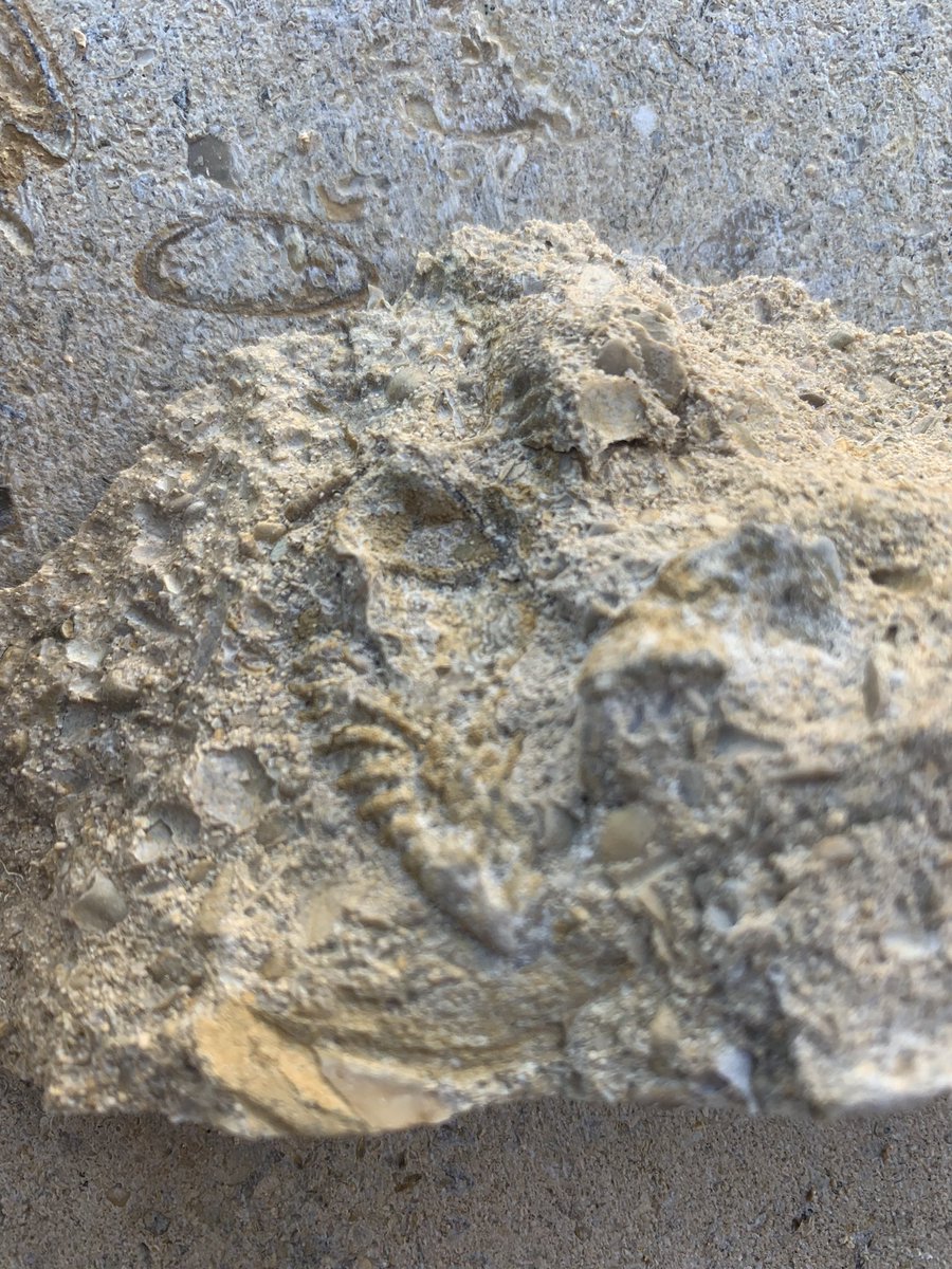 Only when you buy genuine stone do you get proper natural features, each hearth we make is genuinely unique! #BritishStone #Ancaster #Limestone #ProperJob #Hearthstone #Fireplaces