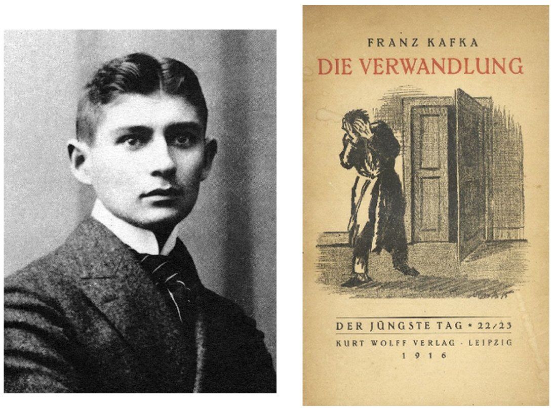 It’s Sunday, so time for one of my Nicely Abridged Books. 
Kafka in half-an-hour.  The most famous 'existentialist' or 'surrealist' novel. Explanation is neither possible or necessary.
thehundredbooks.com/Metamorphosis.…