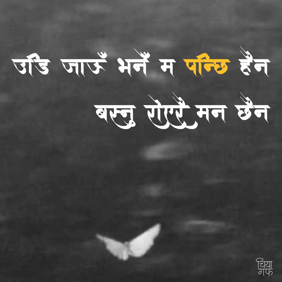 Good day there! 🌻🌻
Follow <a href="/chiyagufff/">चिया गफ</a> for more quotes and stories.
.
<a href="/chiyagufff/">चिया गफ</a>
#chiyaguff #nepal #maya #katha #nepalikatha #nepali
#nepaliquotes #nepaliquote #nepalicommunity
#vichar #pokhara #kathmandu
#visitnepal #nepalicalligraphy #ananda #nepalisongs