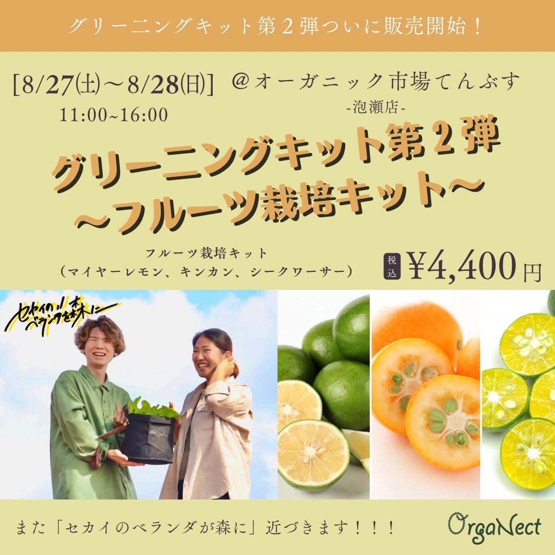 OrgaNect's tweet photo. 【グリーニングキット第2弾】🎉
待望の！フルーツ登場！！
✔︎シークワサー
✔︎キンカン
✔︎レモン

新しくセレクトできるようになります👏
これでまた一歩セカイのベランダが森に近づきます！

豪華特典もついてるのでぜひ！
8/27(土)、8/28(日)11:00〜16:00
オーガニック市場てんぶす泡瀬店にて！ https://t.co/BN1lxY0o5m