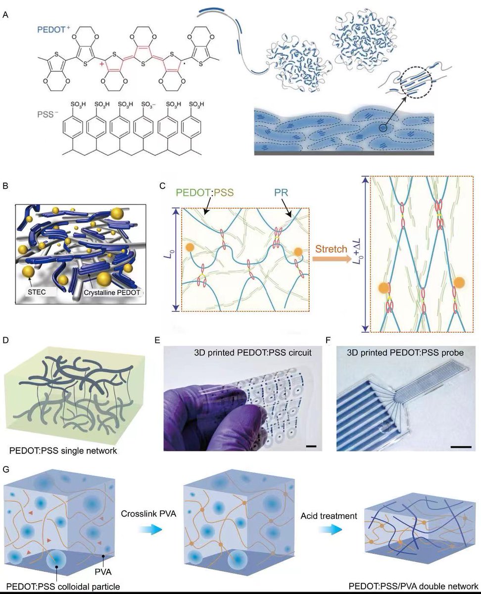 OAE_SoftScience's tweet photo. #PEDOT:PSS #Bioelectronics #Stretchability
🔥Sharing a perspective reviewing recent progress and proposing the possible future directions of PEDOT: PSS-based bioelectronics.
Online: https://t.co/EYdu4BAdSt
Download for free: https://t.co/8q0TYFKq8n
Welcome to read and share! https://t.co/Z5RS56p7YD