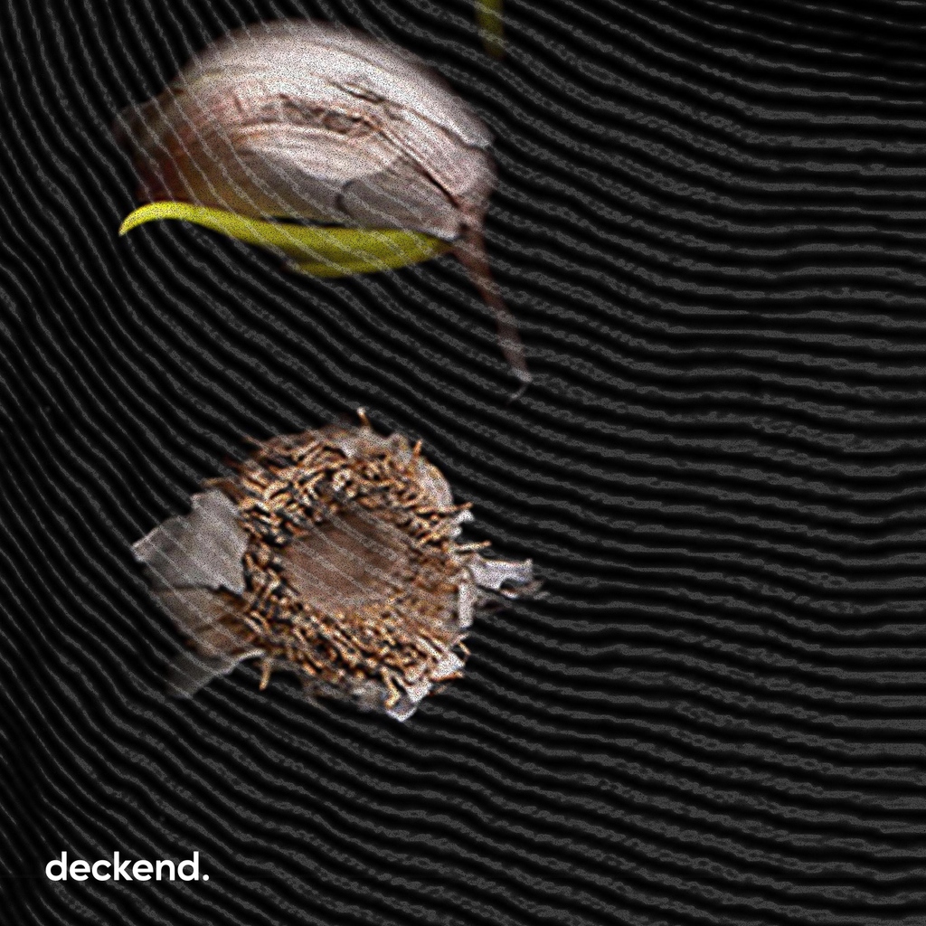 deckend_com's tweet photo. ✨ Metamorphosis of life how a creature is born, grows, and ages, this is a description represented by the existence of a garlic plant.🧄 "Grow old" design by faazafron
•⁠
Rate now on https://t.co/xGfmwpEVX8! #deckend https://t.co/s1O8CjkLxk