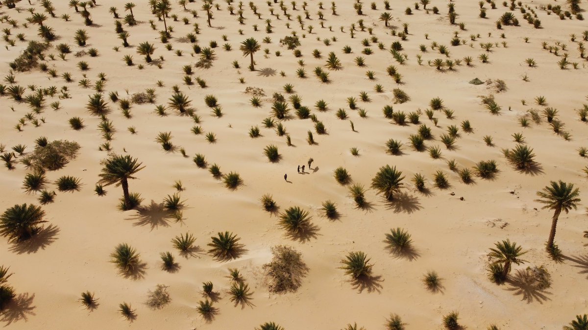 GM GM 💎 <a href="/SuperRare/">SuperRare</a> 

5 years exploring desert regions of the planet such as the Wadi Rum Desert, the Namib Desert, the Sahara Desert. 
This project is only started